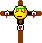 Crucifie